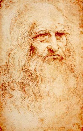 Da Vinci remodeling genius