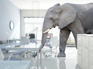 refacing is the elephant in the room