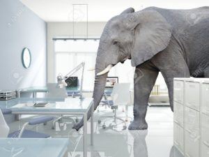 refacing is the elephant in the room 